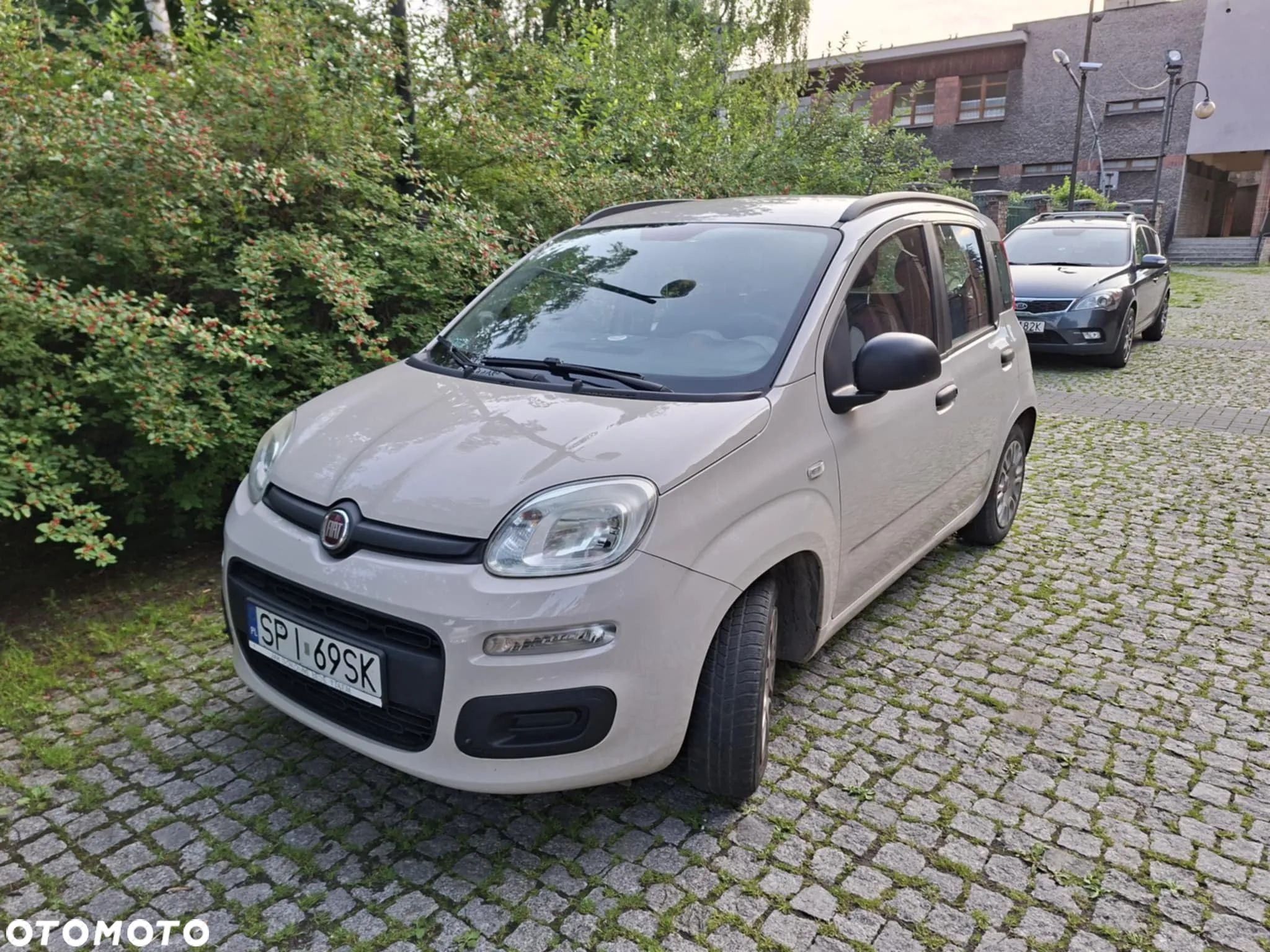 Fiat Panda - 1