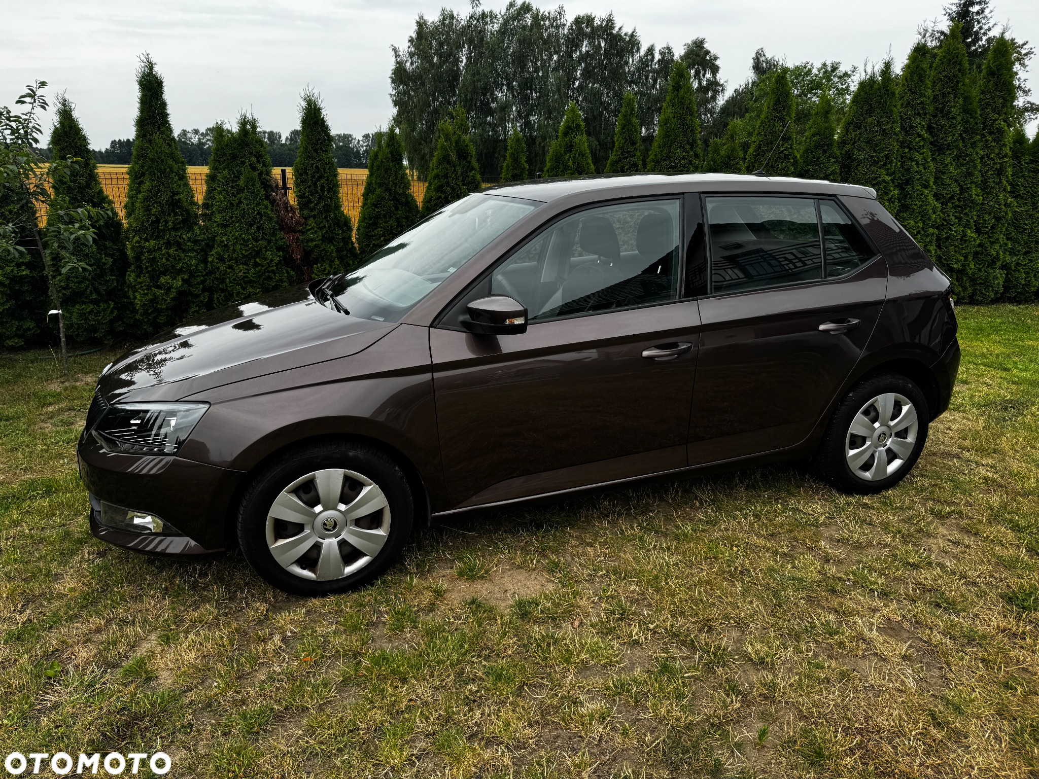 Skoda Fabia 1.2 TSI DSG Ambition - 3
