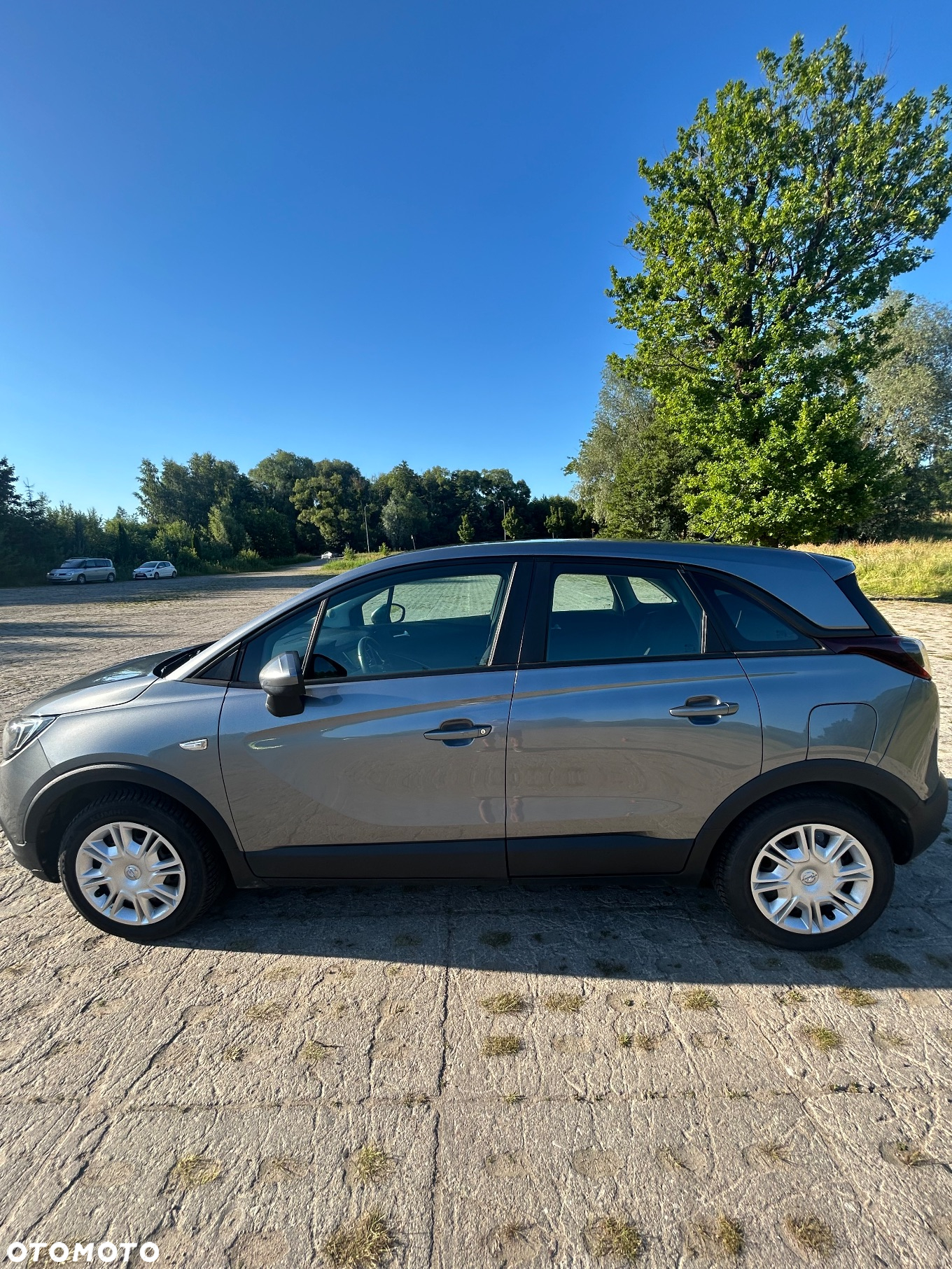 Opel Crossland X 1.6 CDTI Elite - 7