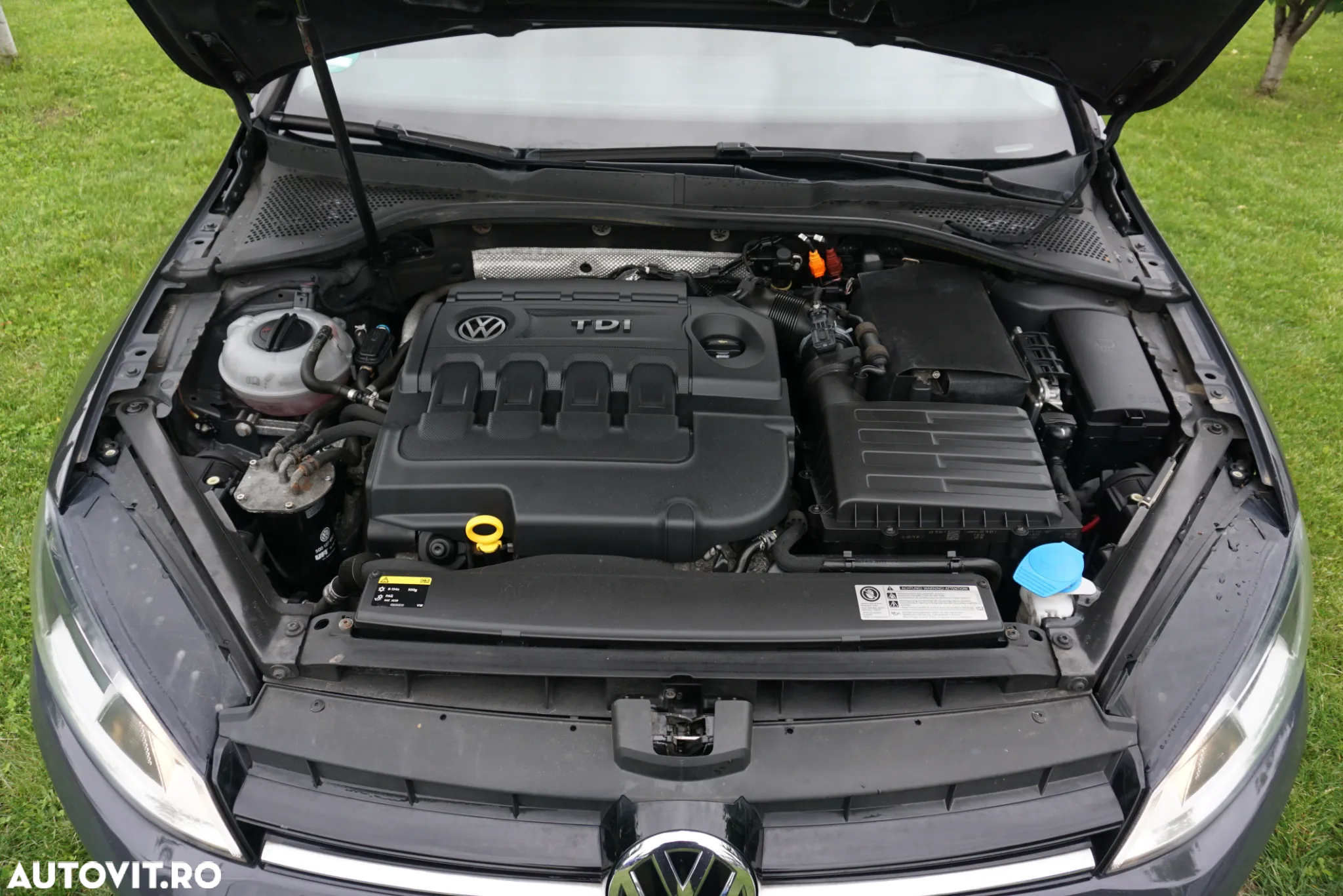 Volkswagen Golf 1.6 TDI BlueMotion Technology DPF Highline DSG - 28