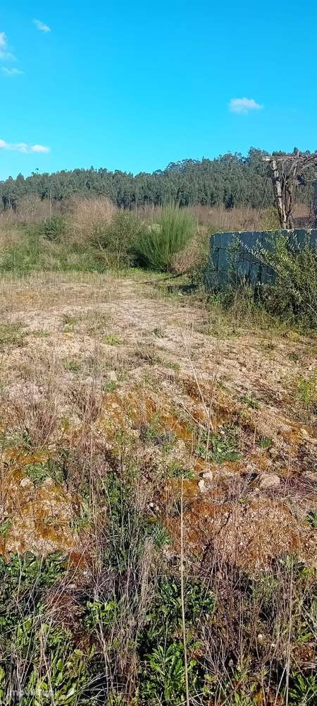 TERRENO PARA VENDA EM LOUSADA - Grande imagem: 3/3