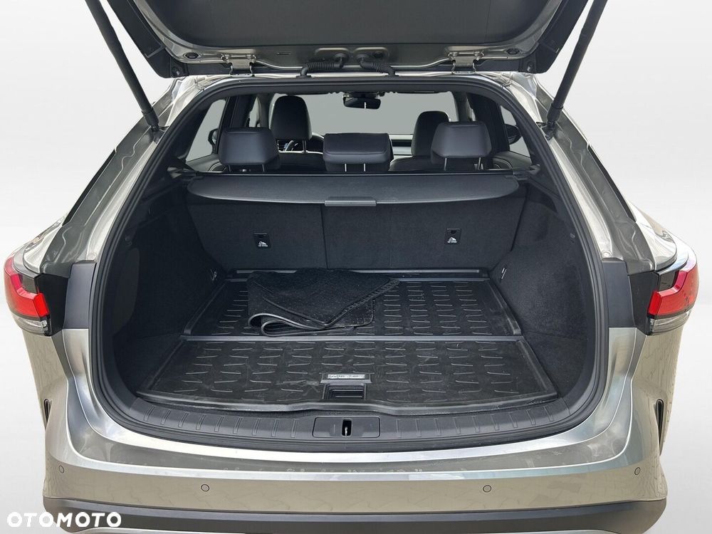 Lexus RX - 14