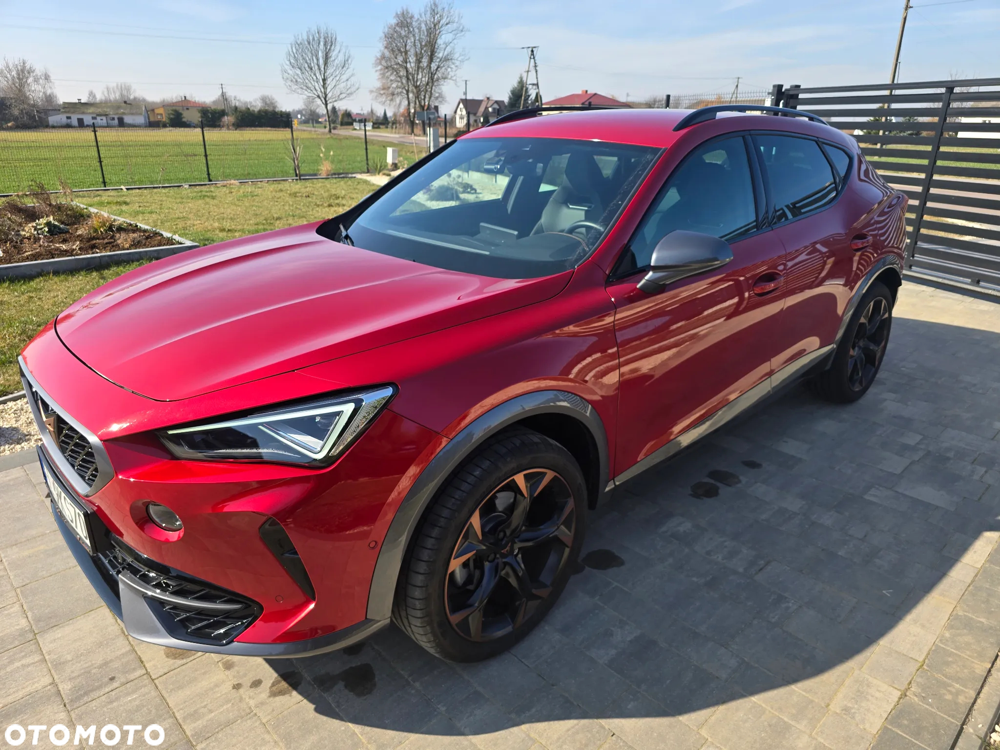 Cupra Formentor 2.0 TSI 4Drive DSG - 2