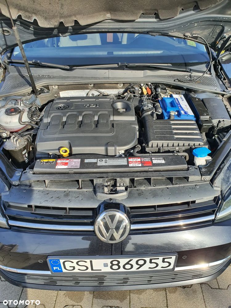 Volkswagen Golf - 9