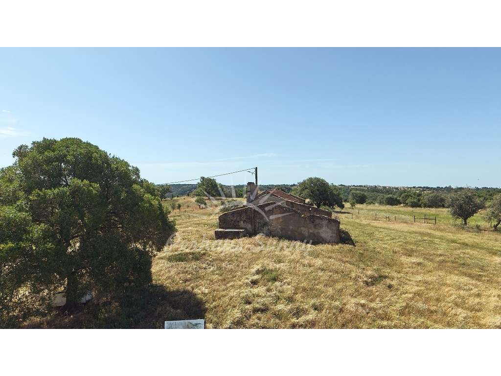 Terreno Misto - São Francisco da Serra - Melides - Grande imagem: 4/32