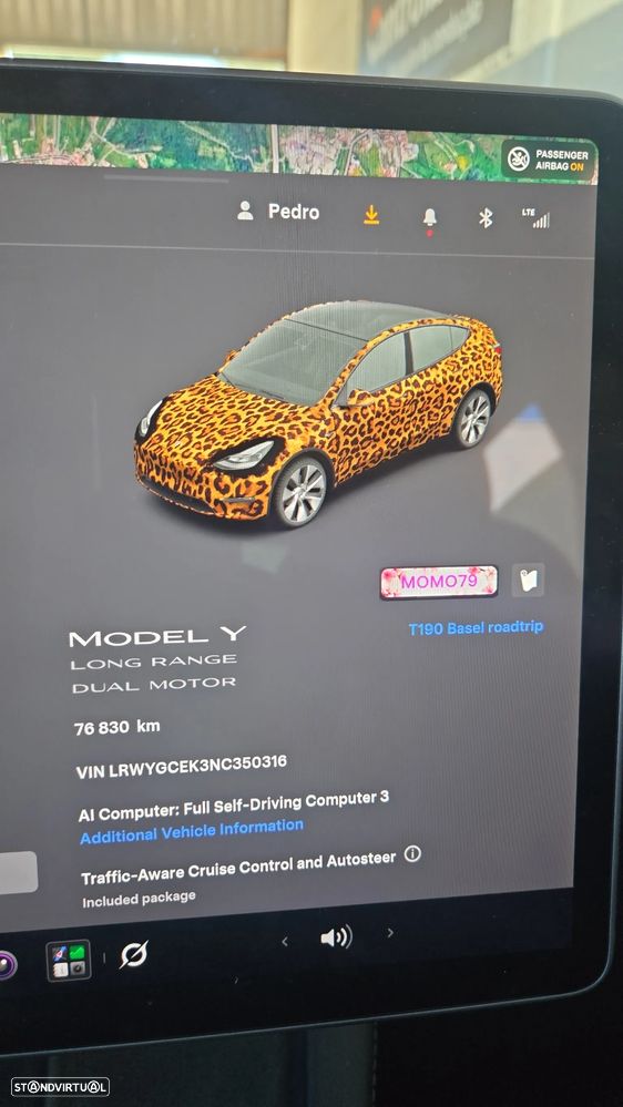 Tesla Model Y Long Range Dual Motor AWD - 12