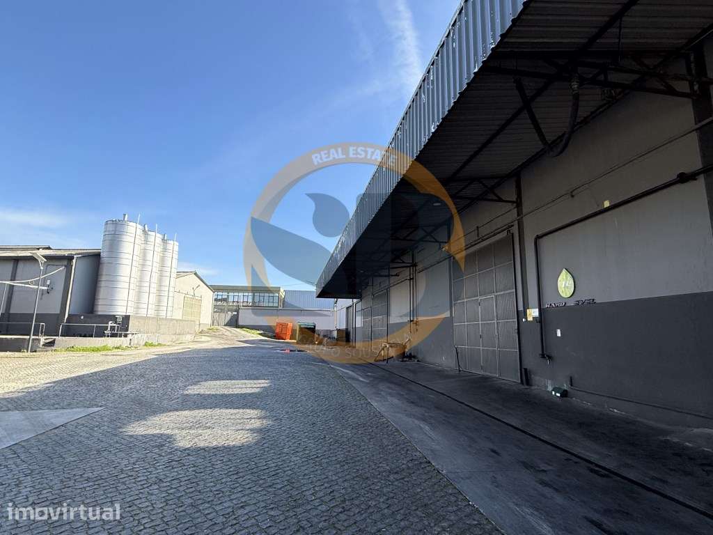 Armazém Industrial em Estarreja! - Grande imagem: 3/43