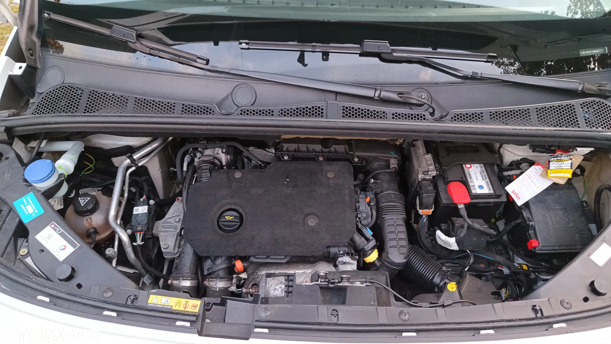 Peugeot Rifter 1.5 BlueHDI Allure S&S - 35