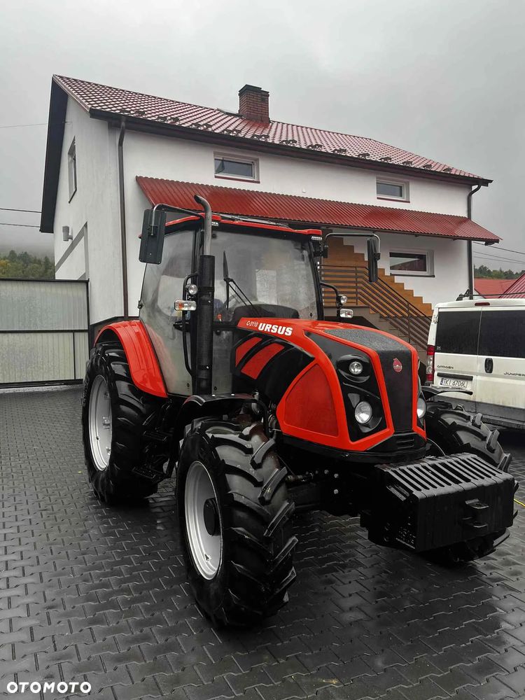 Ursus ursus c-3110 - 3