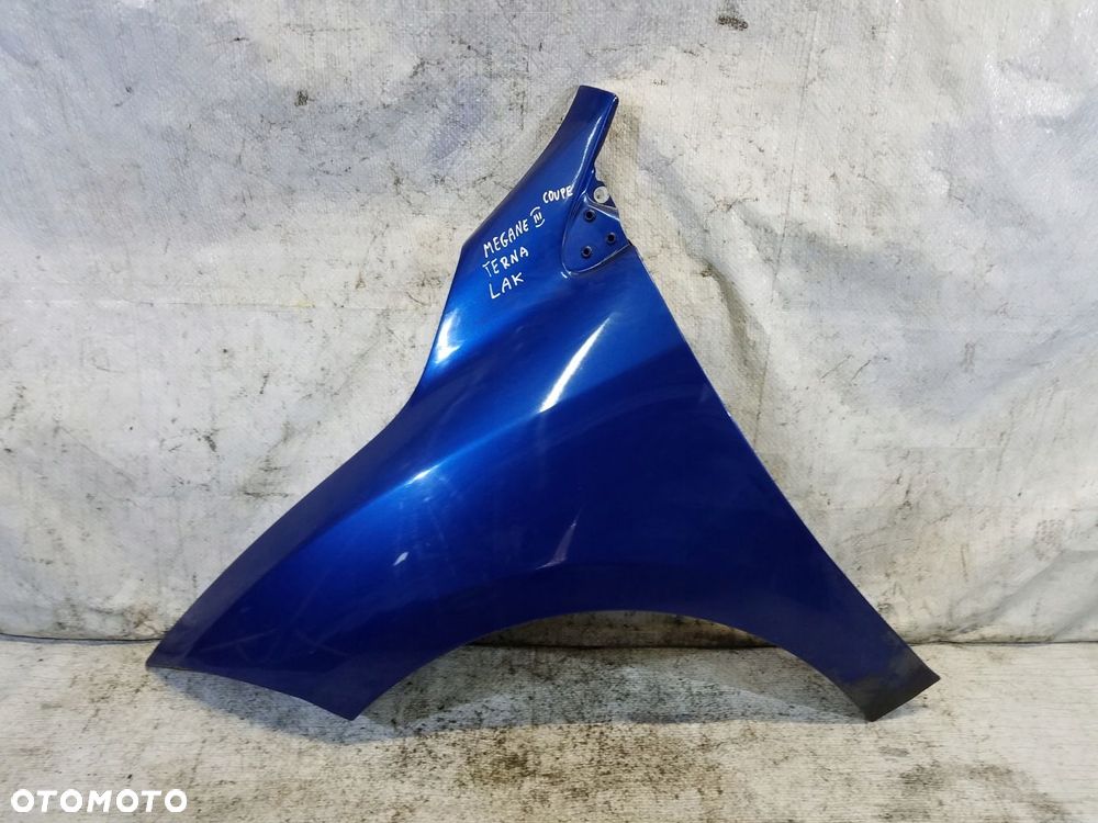 BŁOTNIK PRZÓD RENAULT MEGANE III KOD TERNA - 1