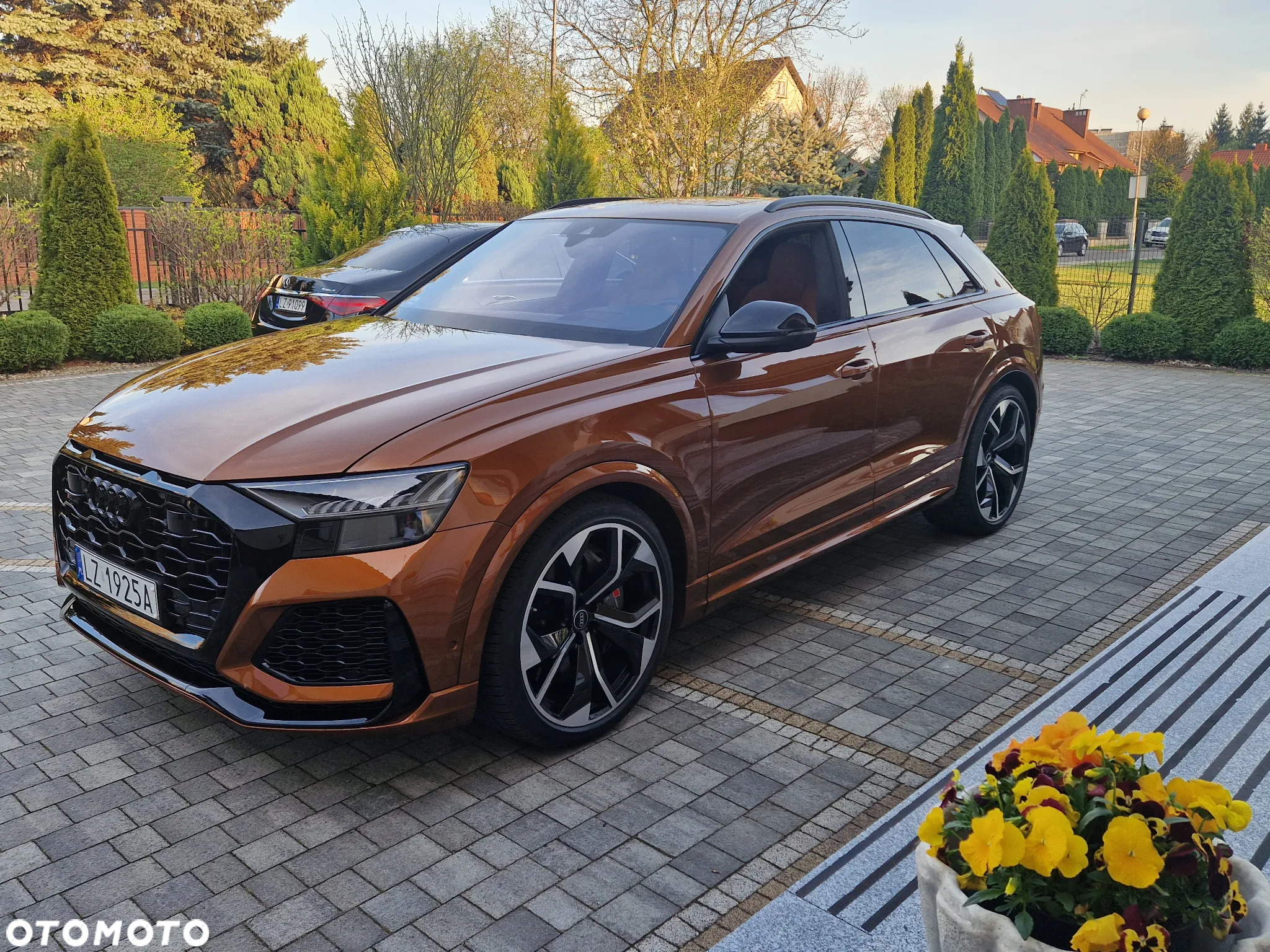 Audi RS Q8 - 4