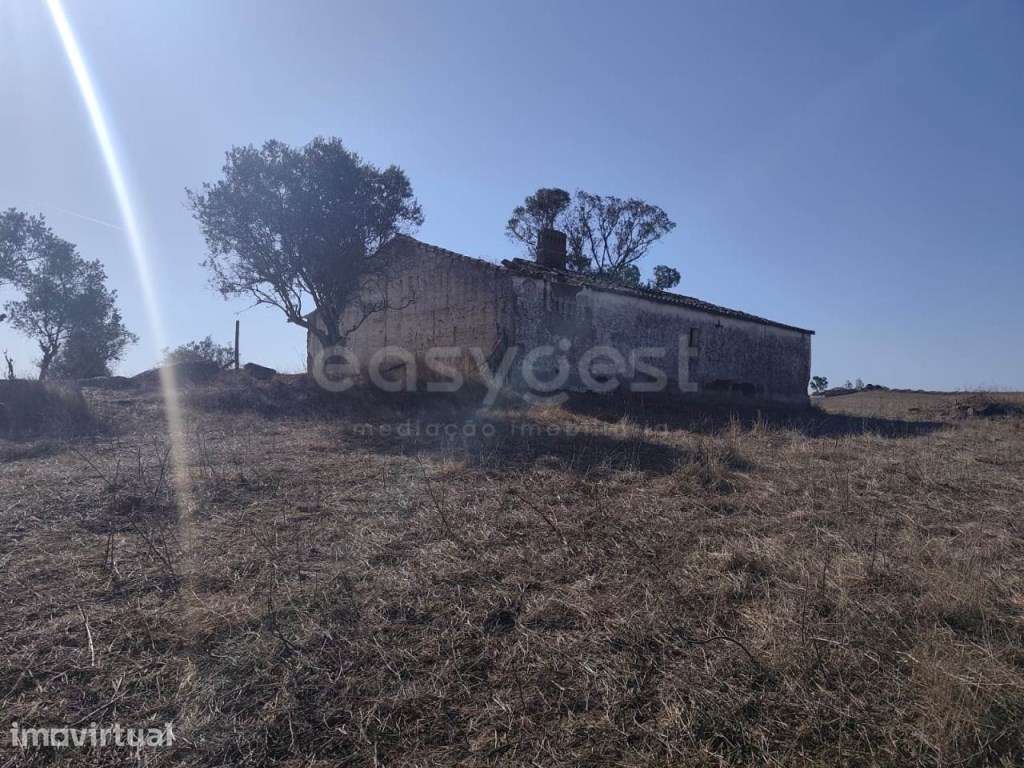 Monte Alentejano para Recuperar - Aldeia do Carregueiro, Aljustrel - Grande imagem: 5/22