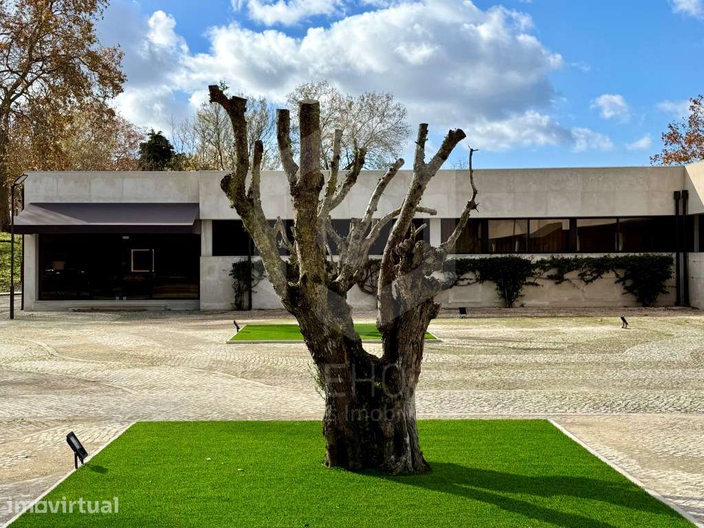 Escritórios Arrendamento Centro Empresarial Arrábida - Grande imagem: 4/17