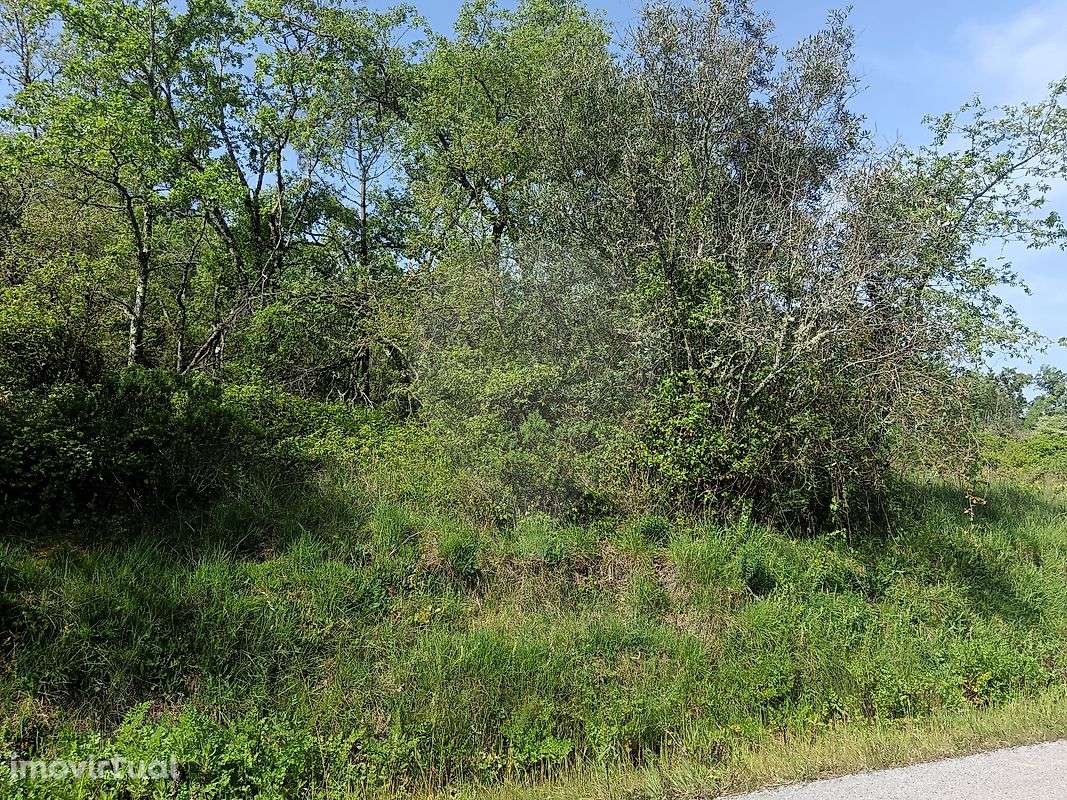 Terreno  para venda - Grande imagem: 5/5