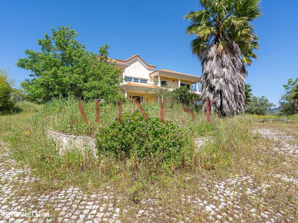 QUINTA COM MORADIA T7 EM BUCELAS - VILA DE REI - Grande imagem: 5/59