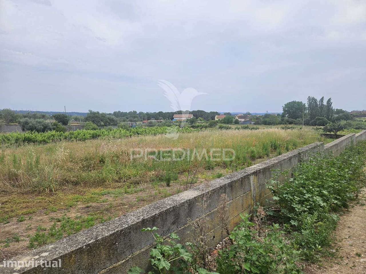 Terreno na entrada de Tomar com parcela urbana 1200m2 - Grande imagem: 5/23