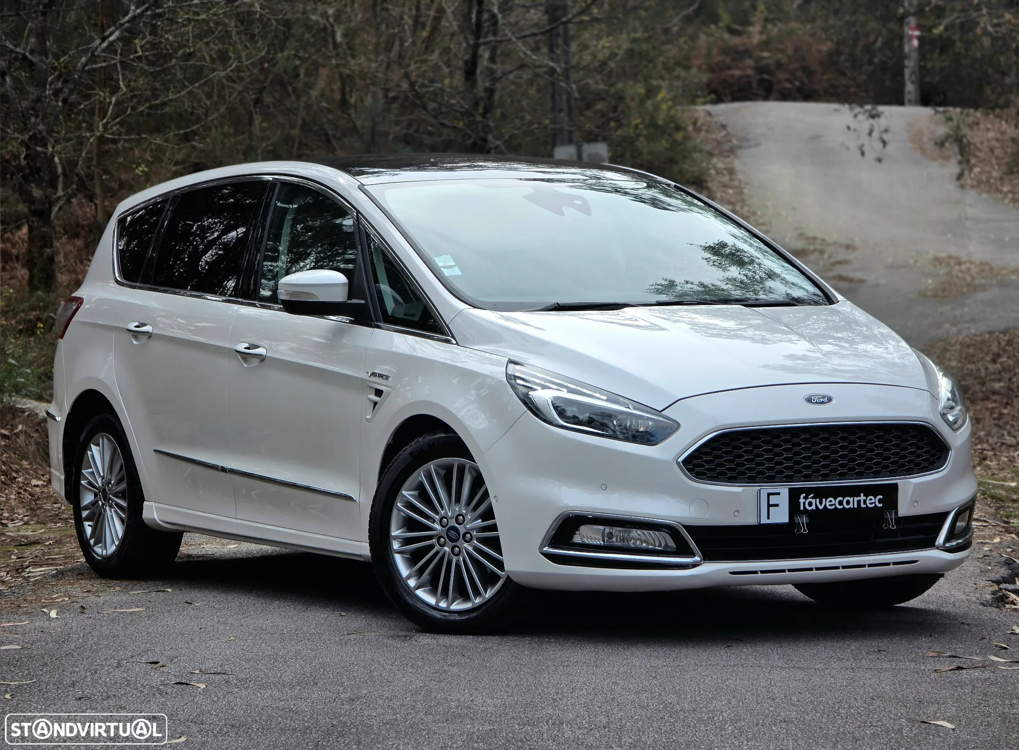 Ford S-Max 2.0 TDCi Vignale Powershift - 2