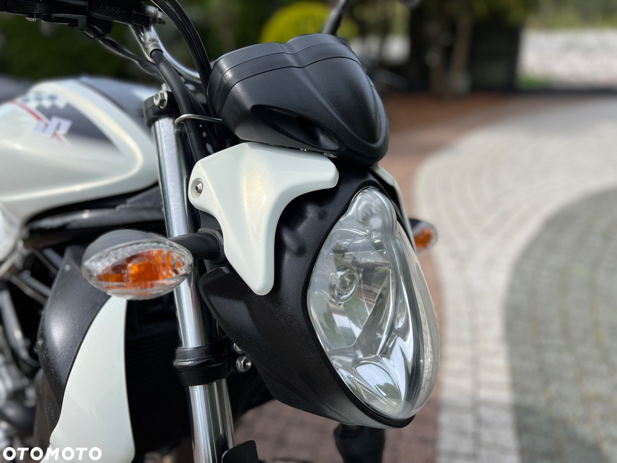 Suzuki Gladius - 3