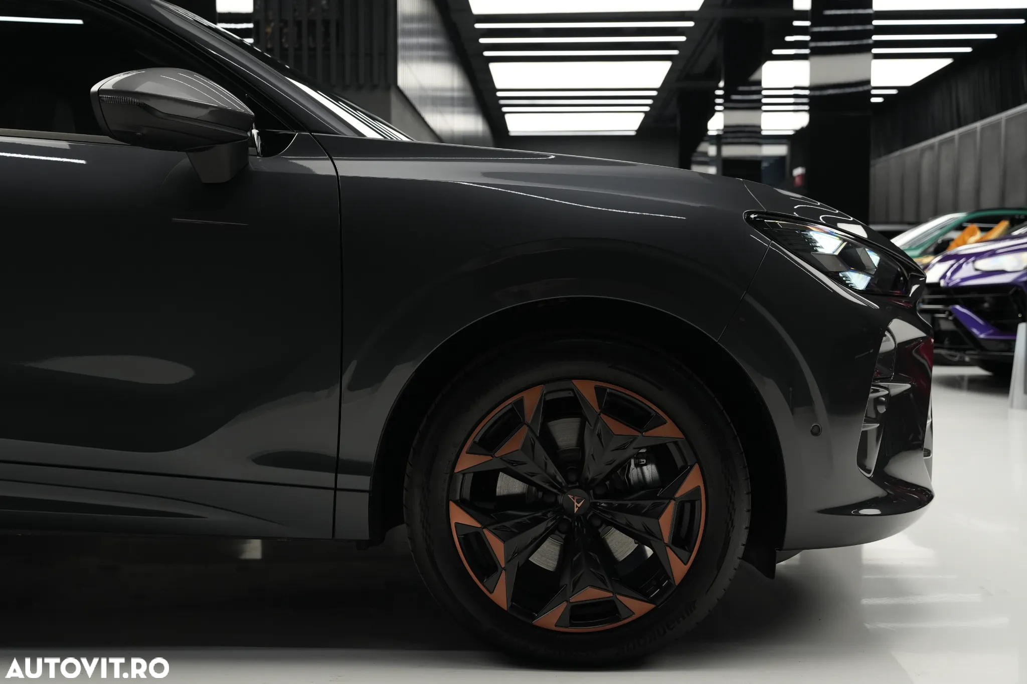 Cupra Terramar - 39