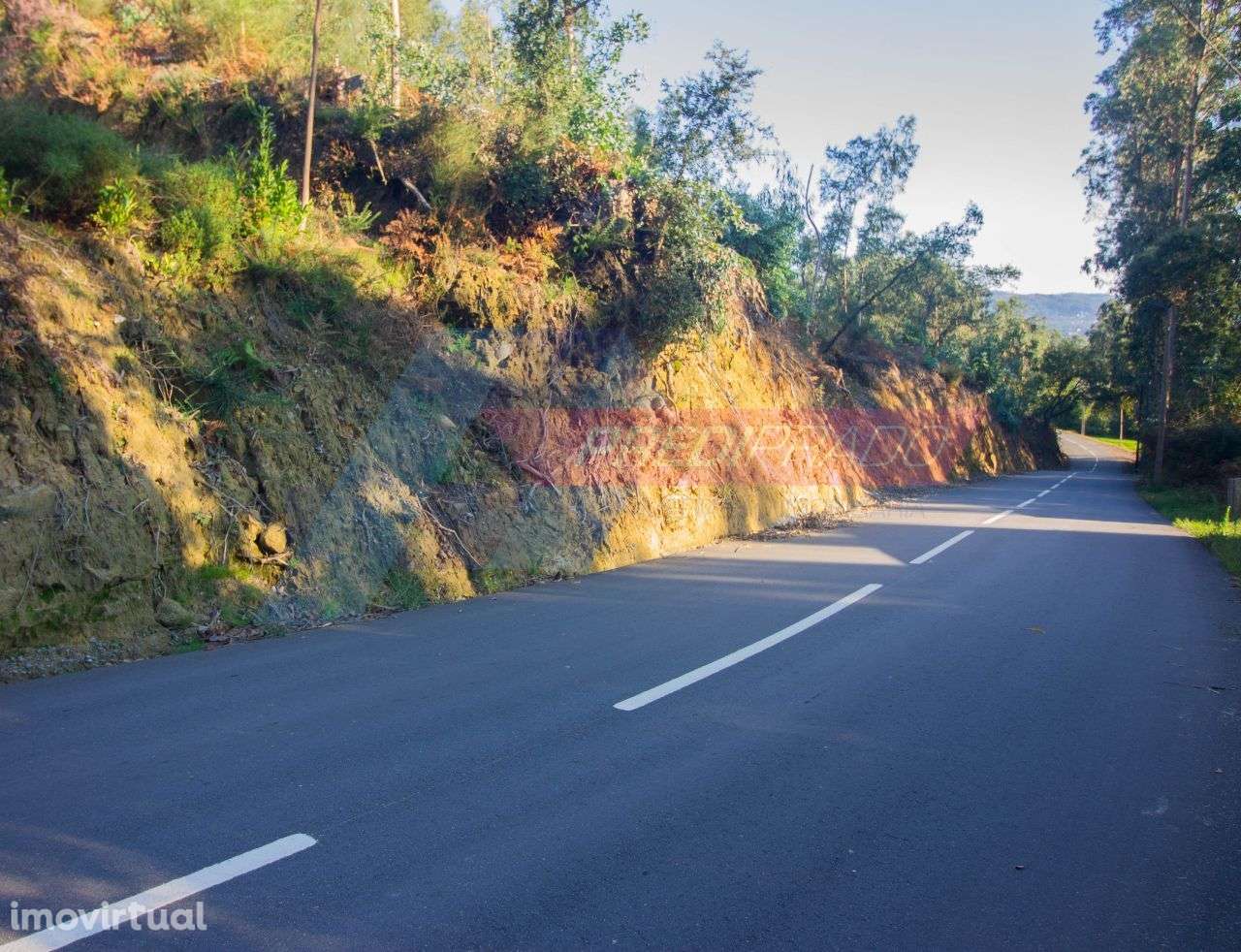Terreno Florestal em Parada de Gatim, Vila Verde! - Grande imagem: 4/5