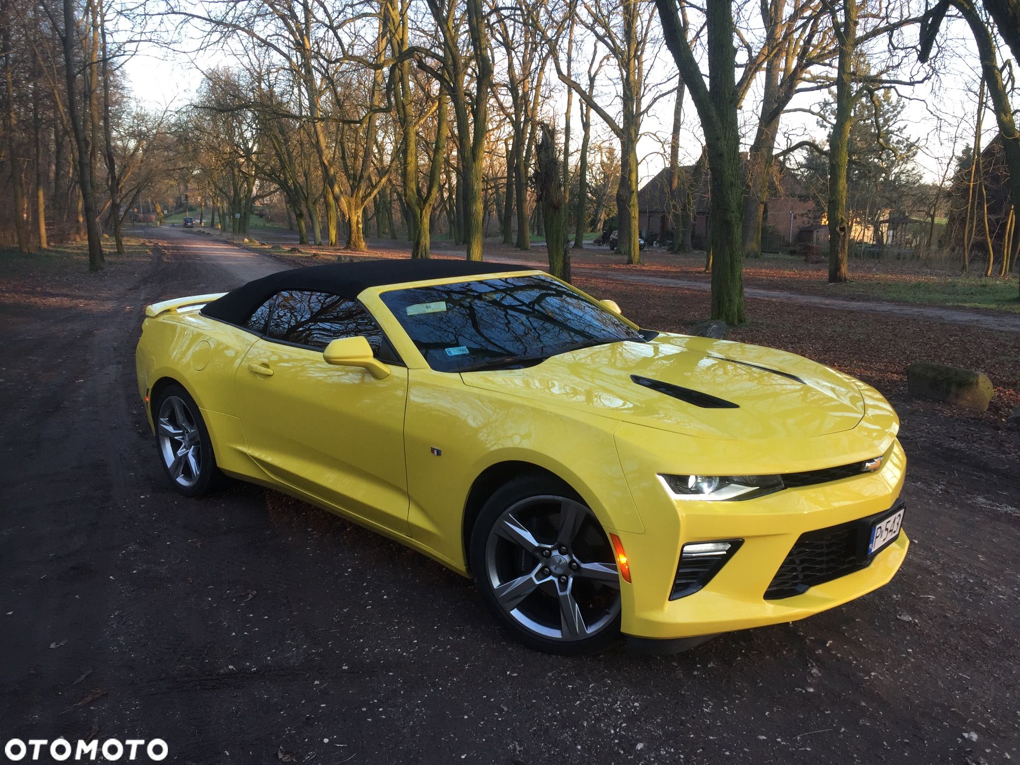 Chevrolet Camaro - 1