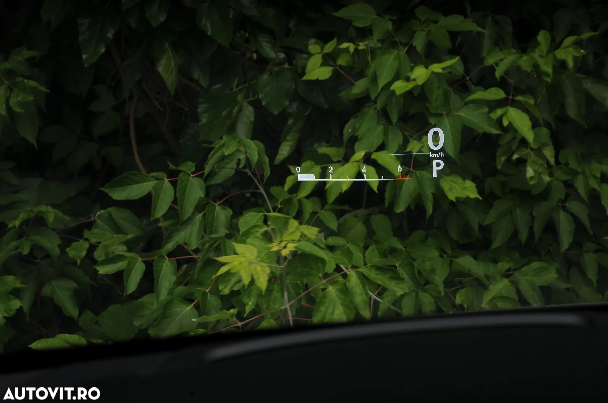 Lexus Seria NX 300h F Sport - 14
