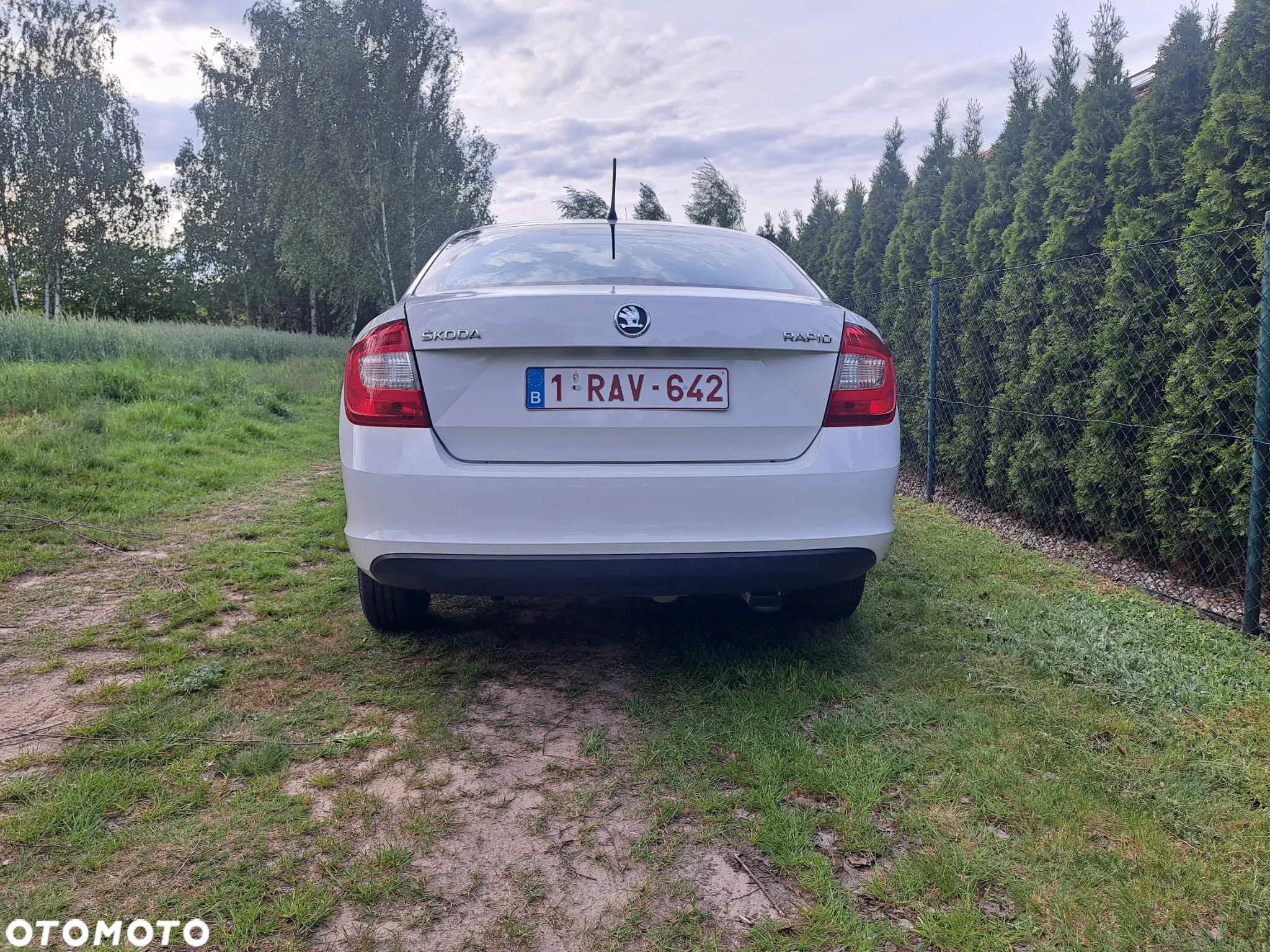 Skoda RAPID 1.2 MPI Ambition - 5