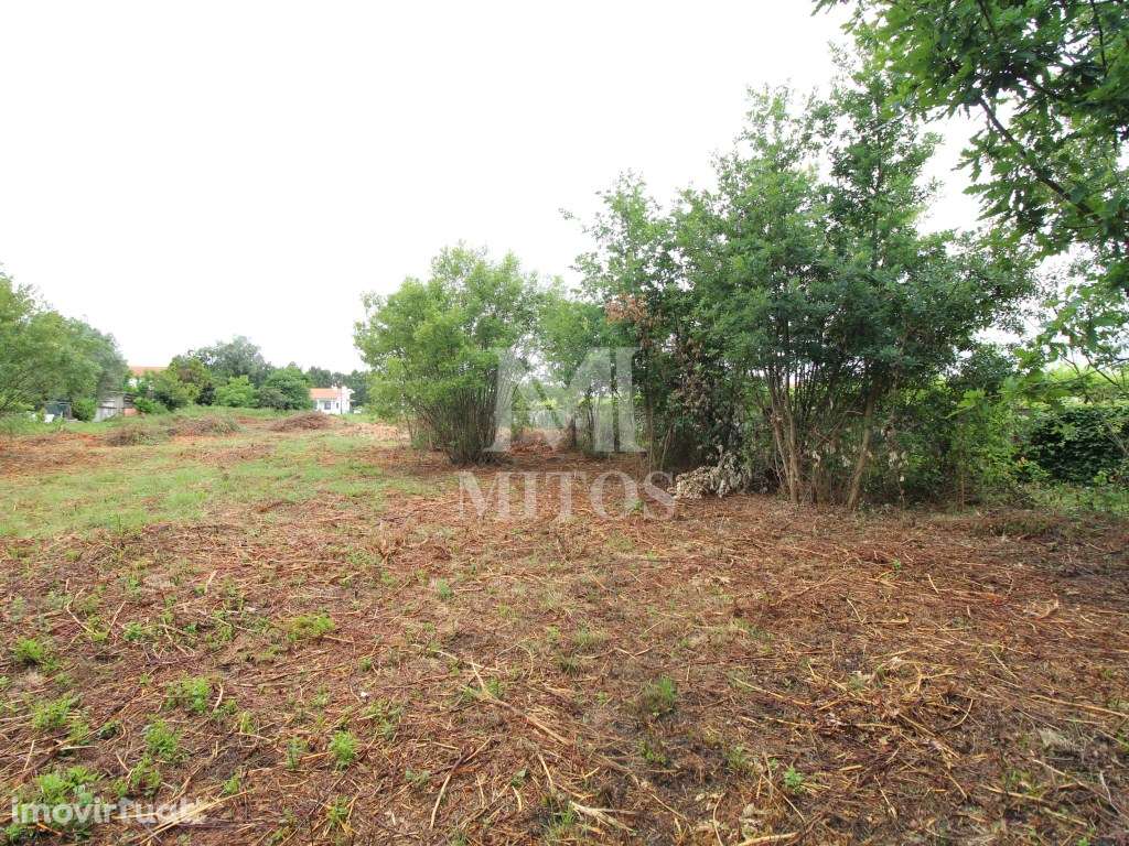 Terreno de construção - Neves, Vila de Punhe - Grande imagem: 3/7