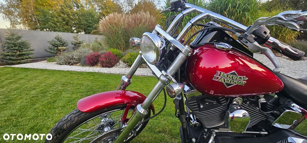 Harley-Davidson Softail - 5