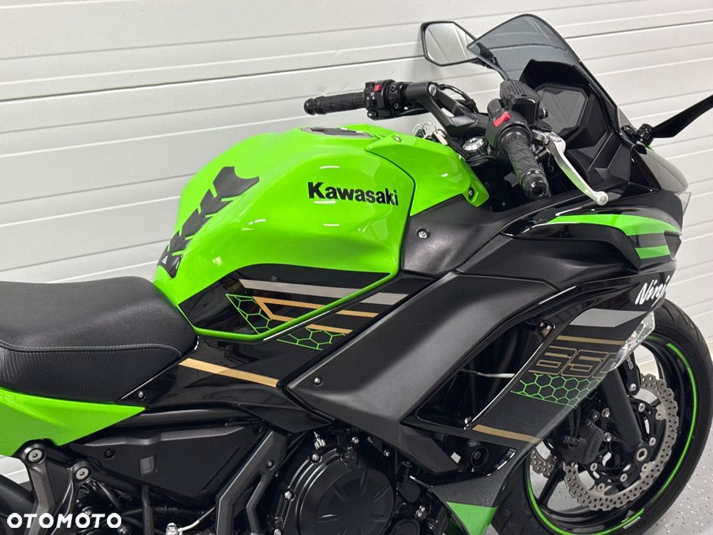 Kawasaki Ninja - 10
