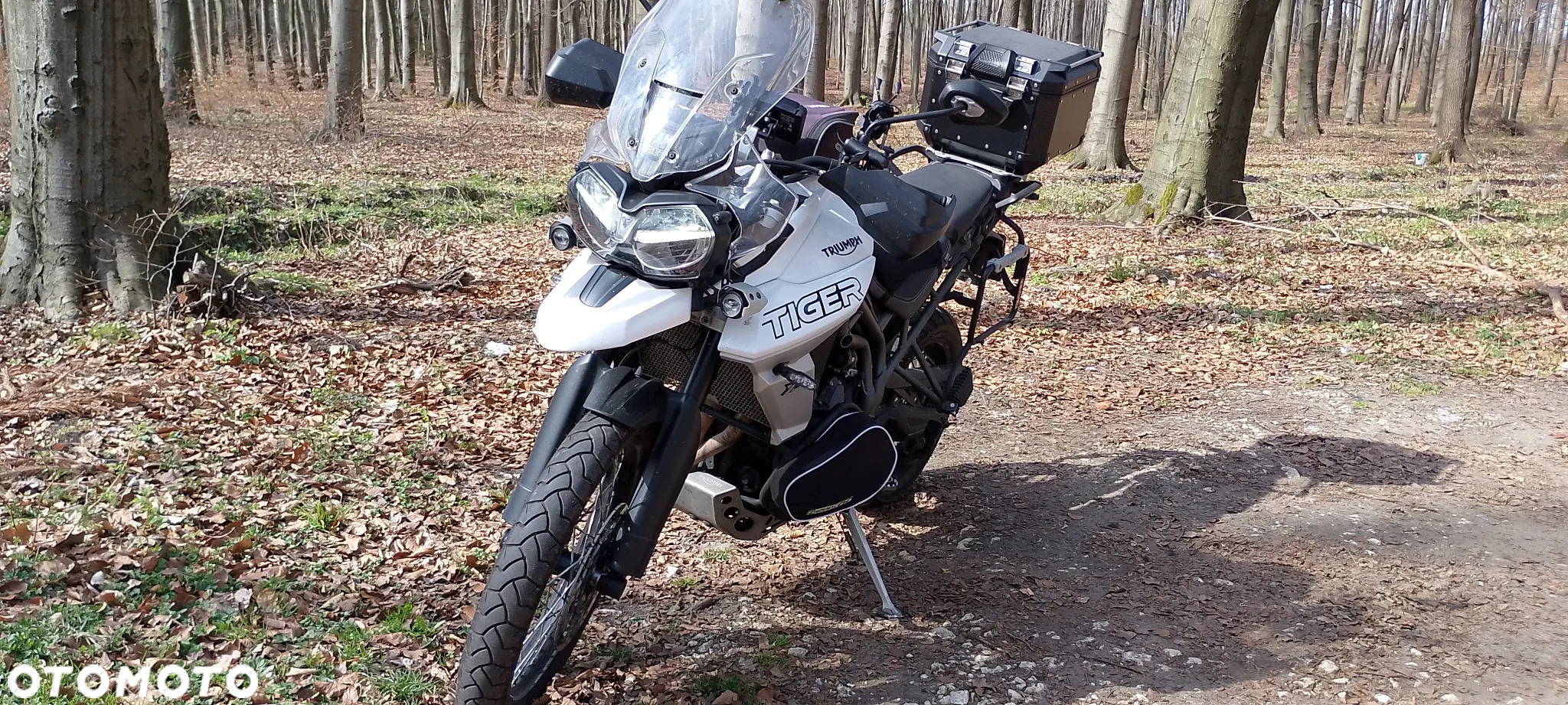 Triumph Tiger