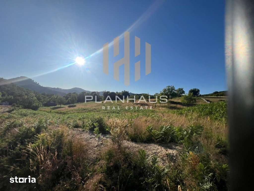 Teren extravilan Izvoare Maramures , zona Vidra , ideal pentru cabană - Imagine principală: 4/8