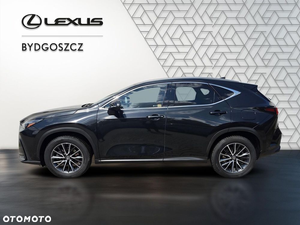 Lexus NX - 8