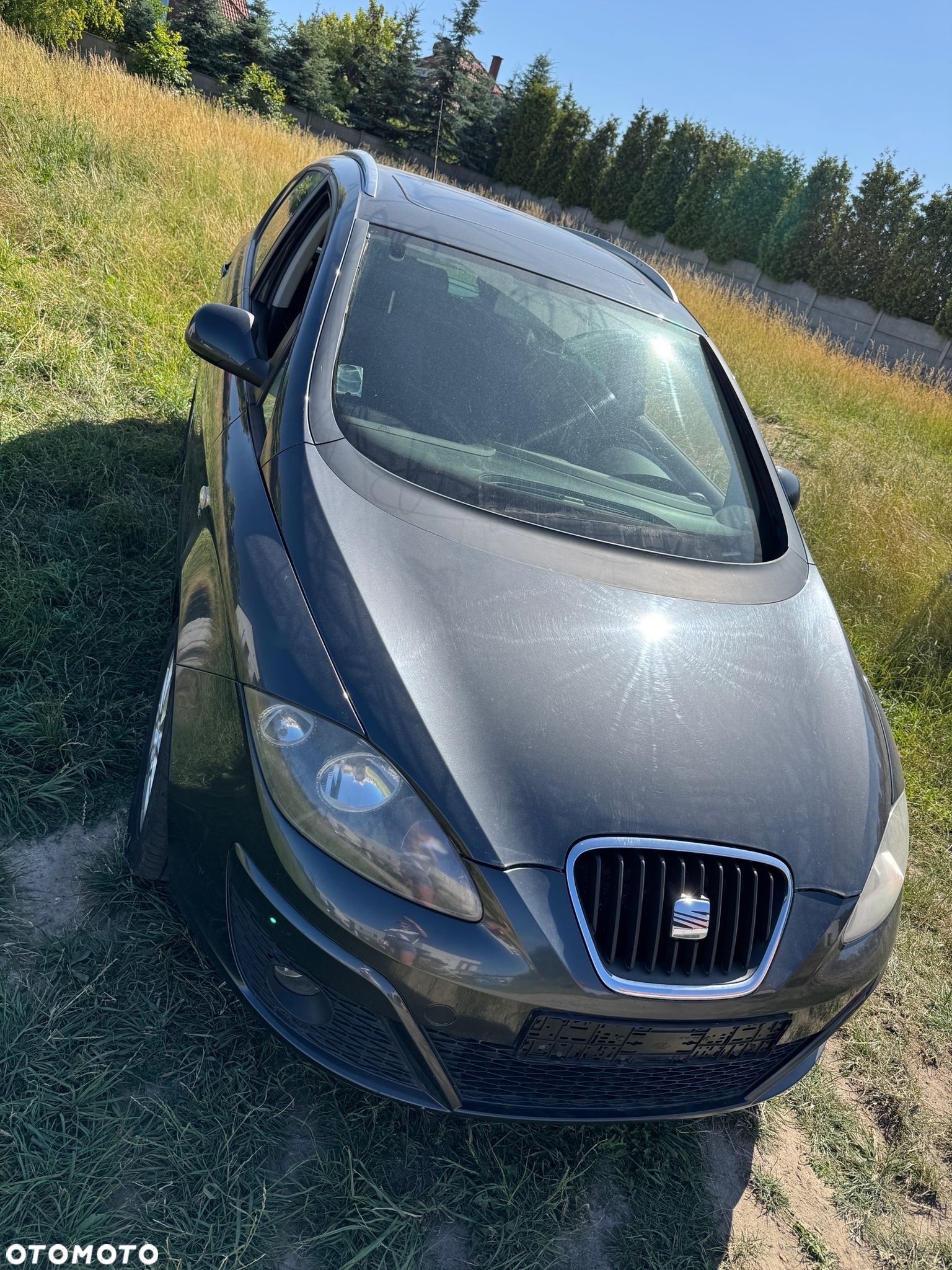 Seat Altea - 1