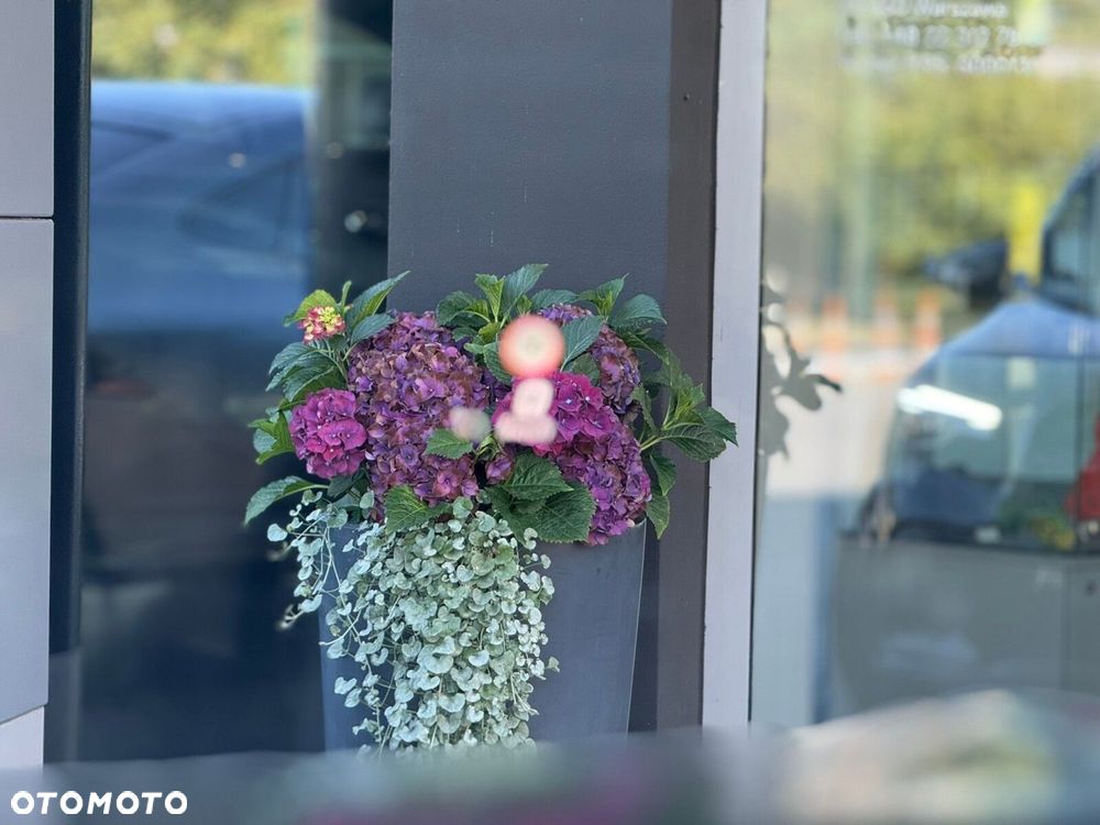 Mercedes-Benz GLB 250 mHEV 4-Matic AMG Line 8G-DCT - 17