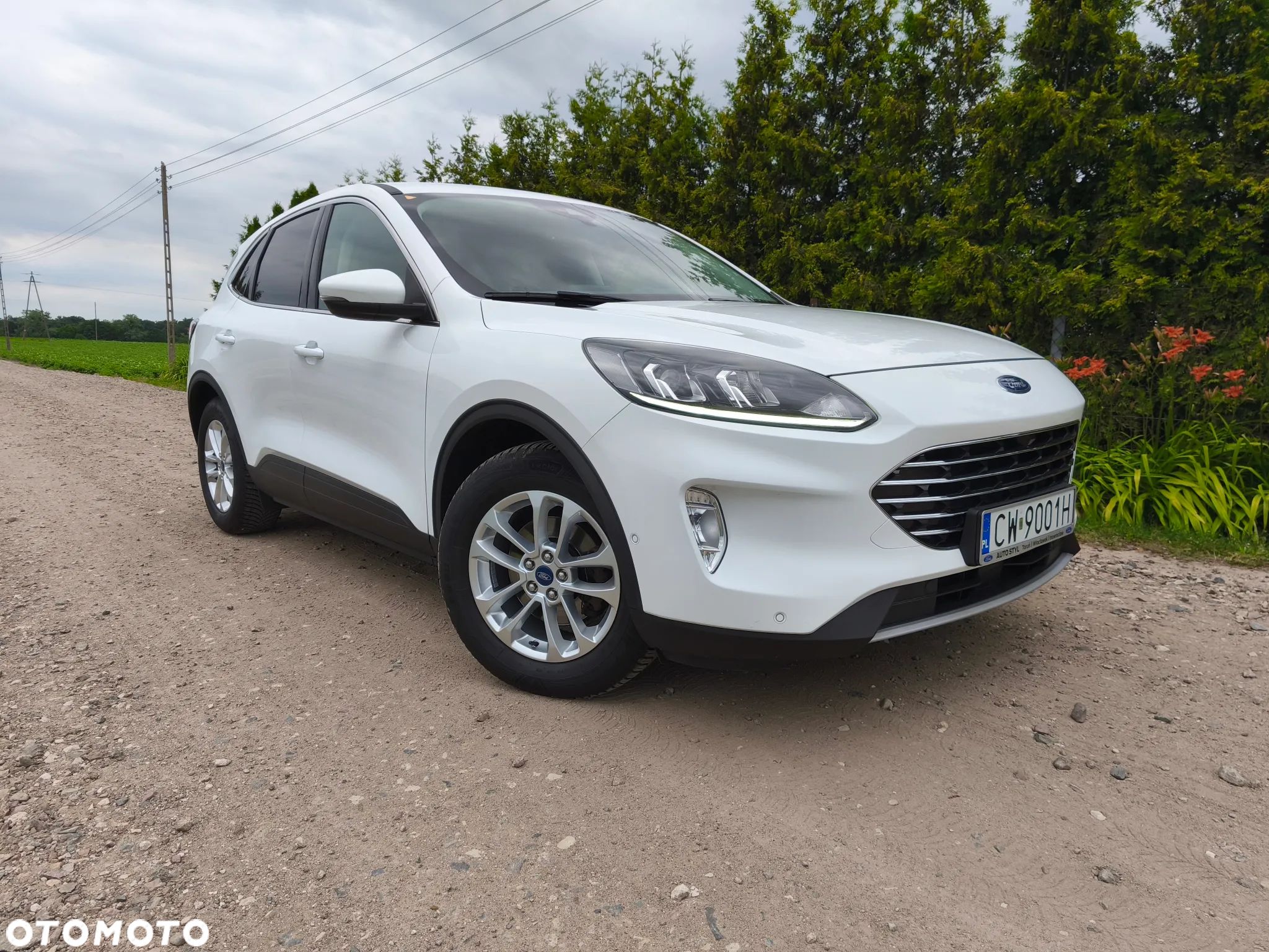 Ford Kuga - 1
