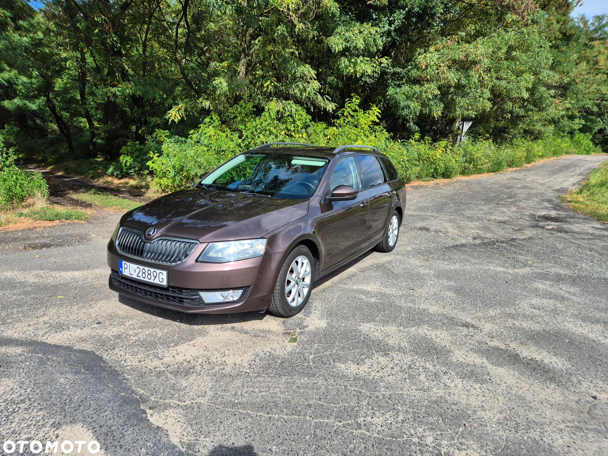 Skoda Octavia - 3