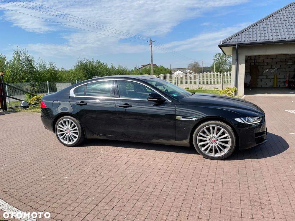 Jaguar Xe 2017 photo 2