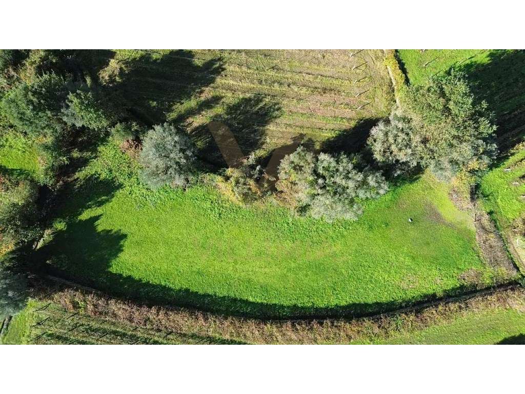 Terreno Rústico 2 300 m² - Cepões - Ponte de Lima - Grande imagem: 2/6