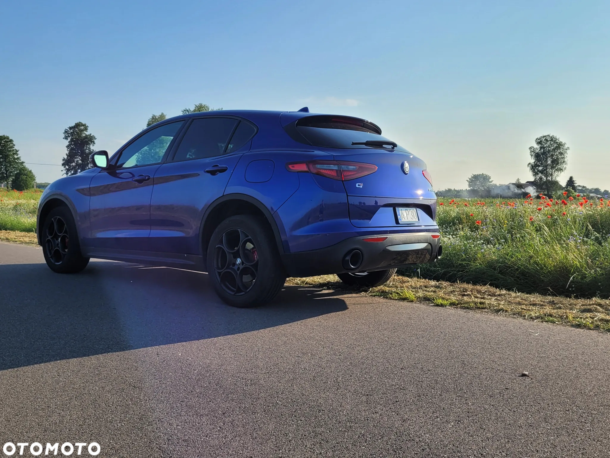 Alfa Romeo Stelvio 2.0 Turbo Sprint Q4 - 17