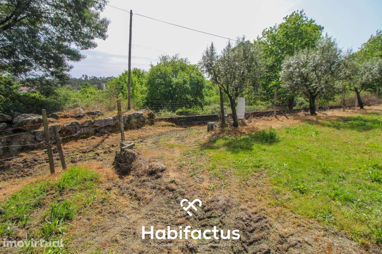 Terreno Agrícola com Vista Desafogada e Grande Potencial – 9.896 m² - Grande imagem: 2/30