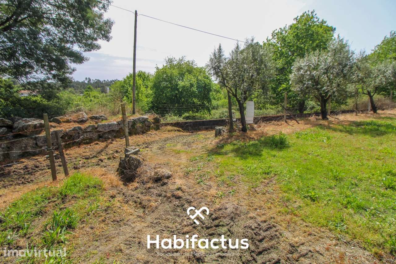 Terreno Agrícola com Vista Desafogada e Grande Potencial – 9.896 m² - Grande imagem: 2/30
