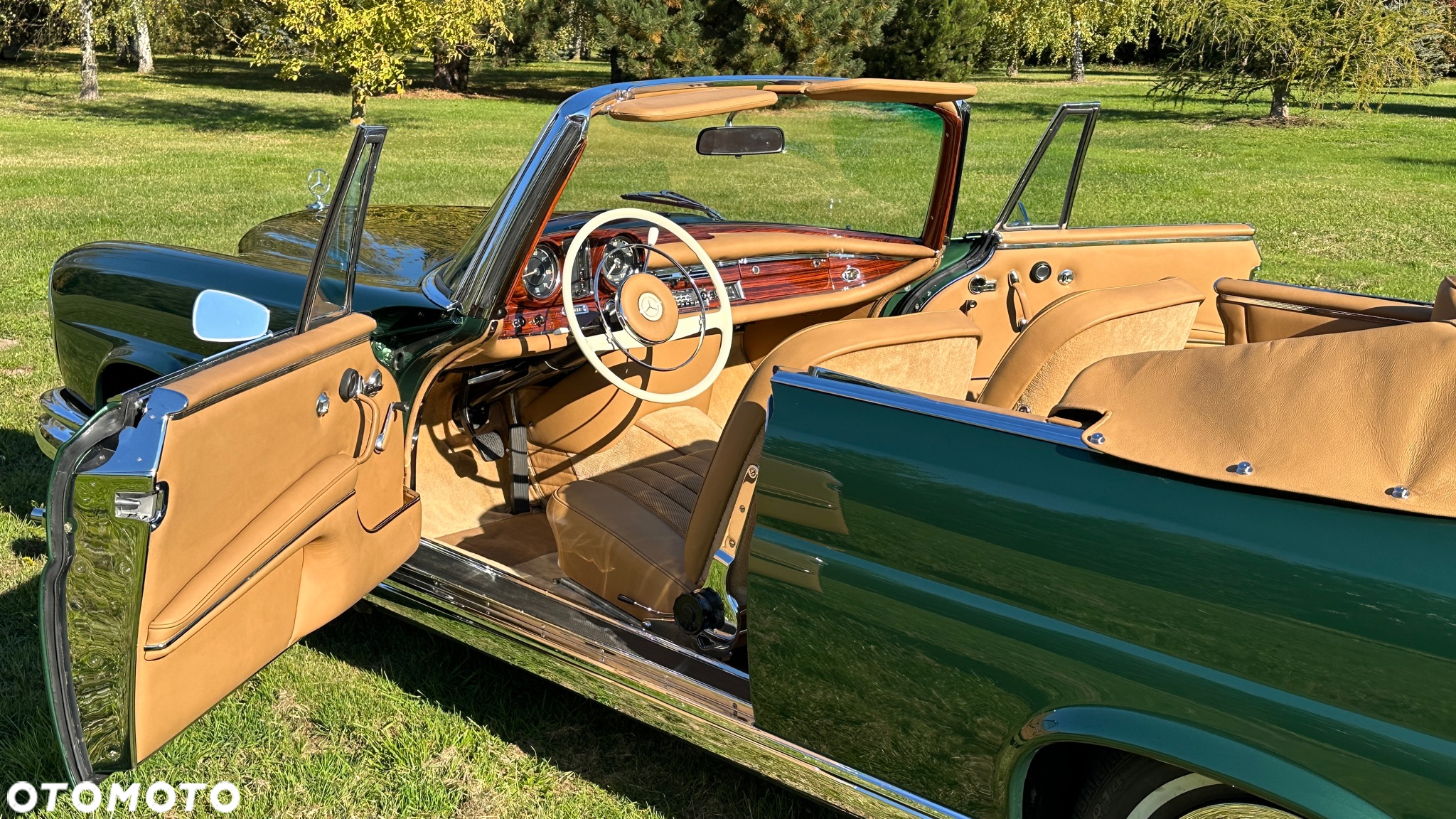 Mercedes-Benz Inny - 12