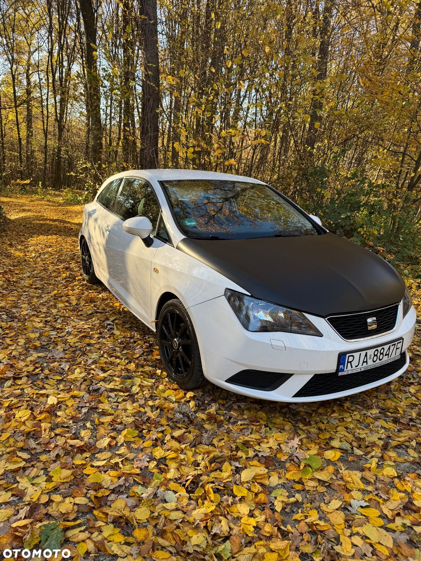 Seat Ibiza - 4