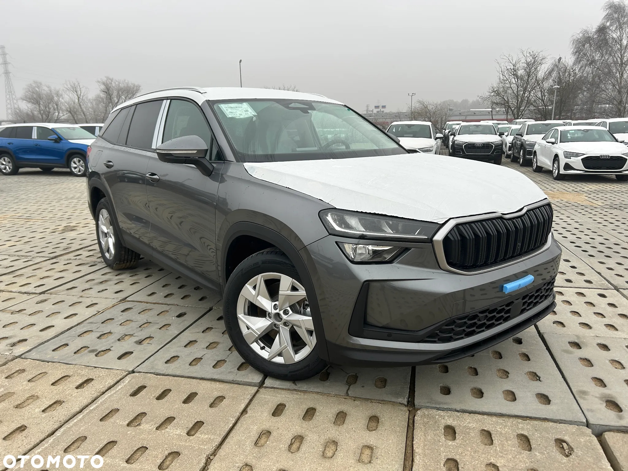 Skoda Kodiaq 1.5 TSI mHEV 4x2 Edition 130 DSG - 5