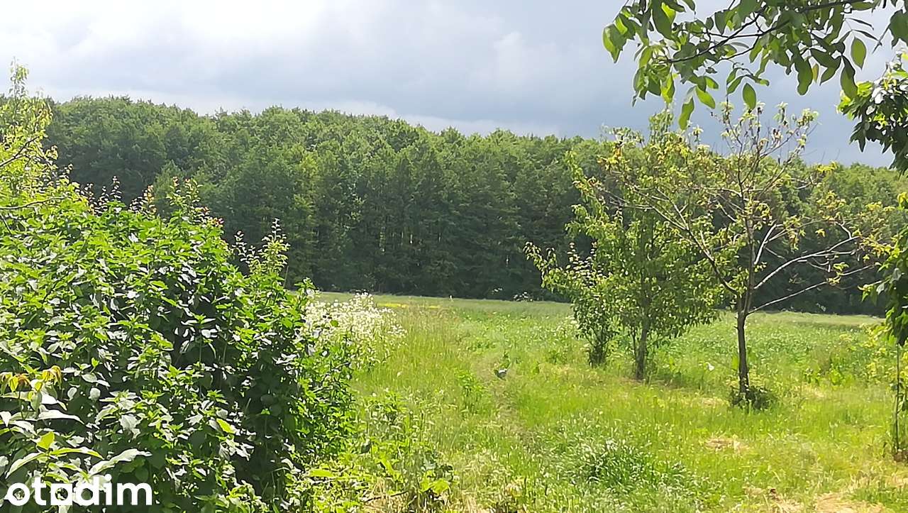 Цегляний будинок з садом, городом та господарськими спорудами - Повне зображення: 4/8