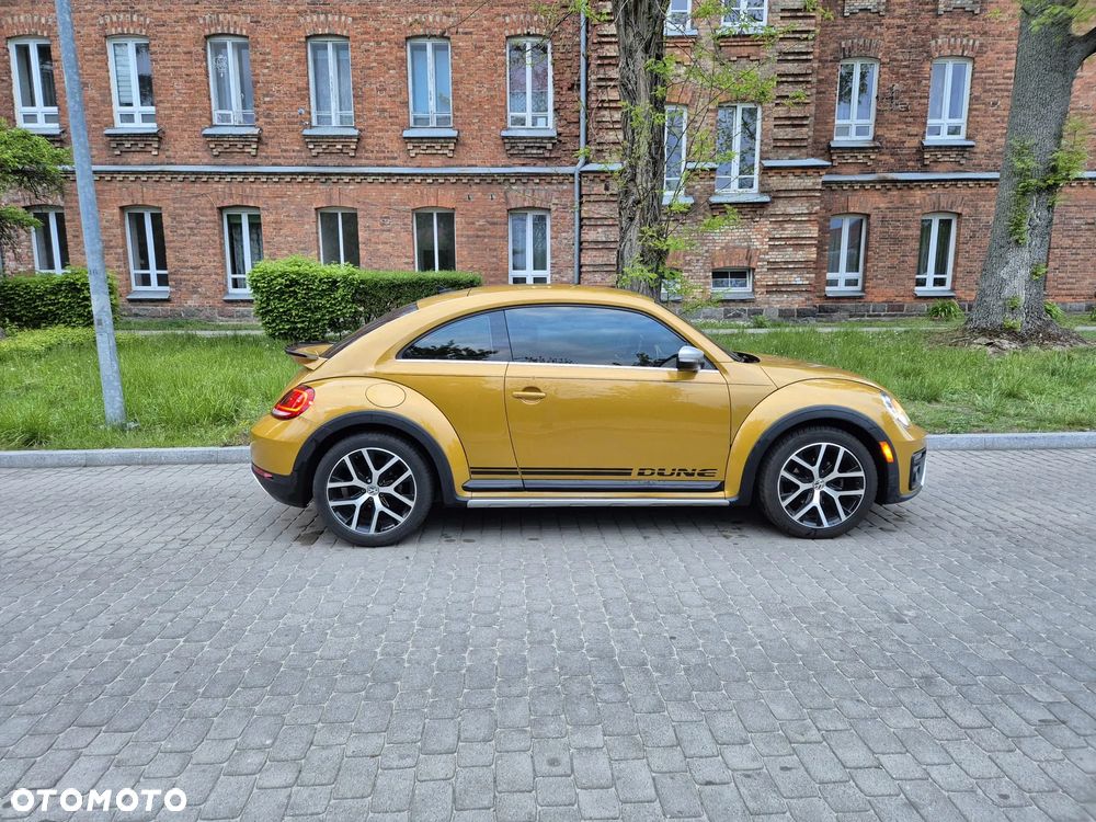 Volkswagen Beetle - 11