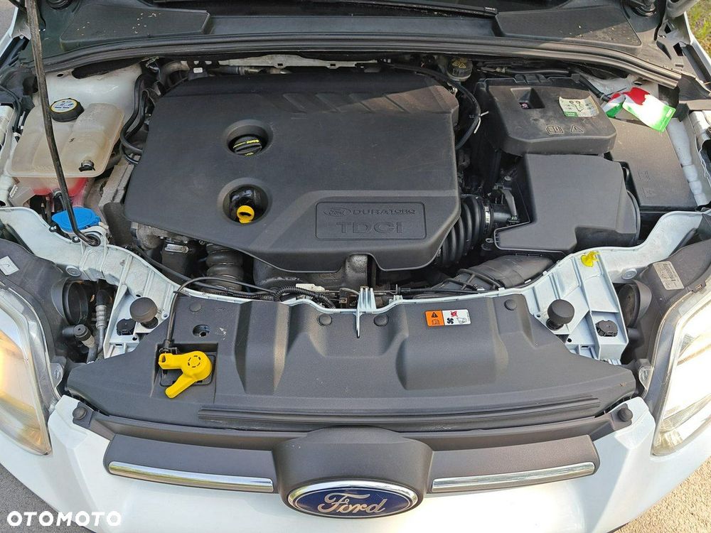 Ford Focus - 16