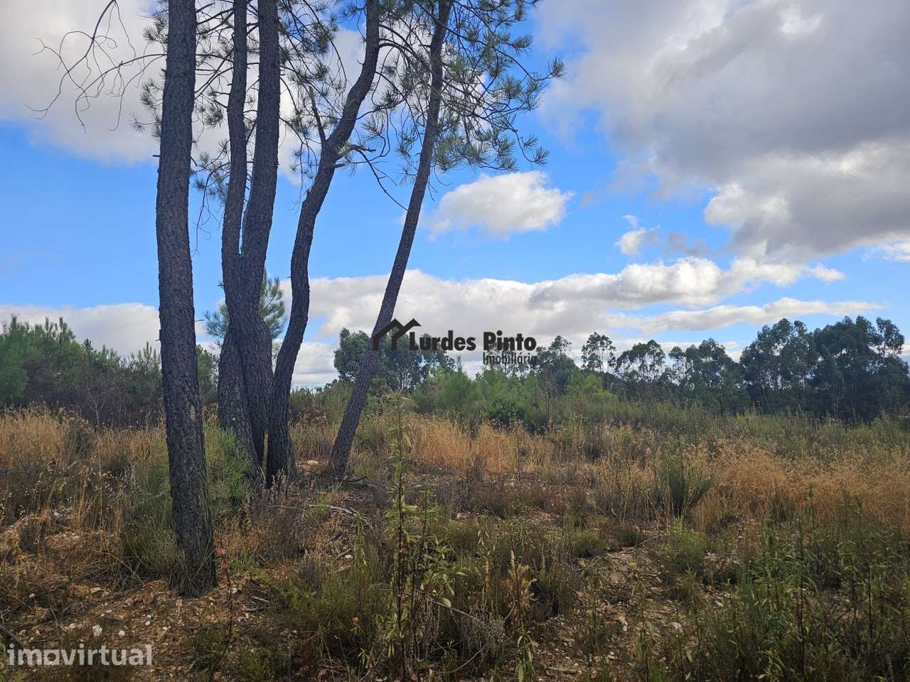 Terreno com 7.500m2 - Grande imagem: 5/10