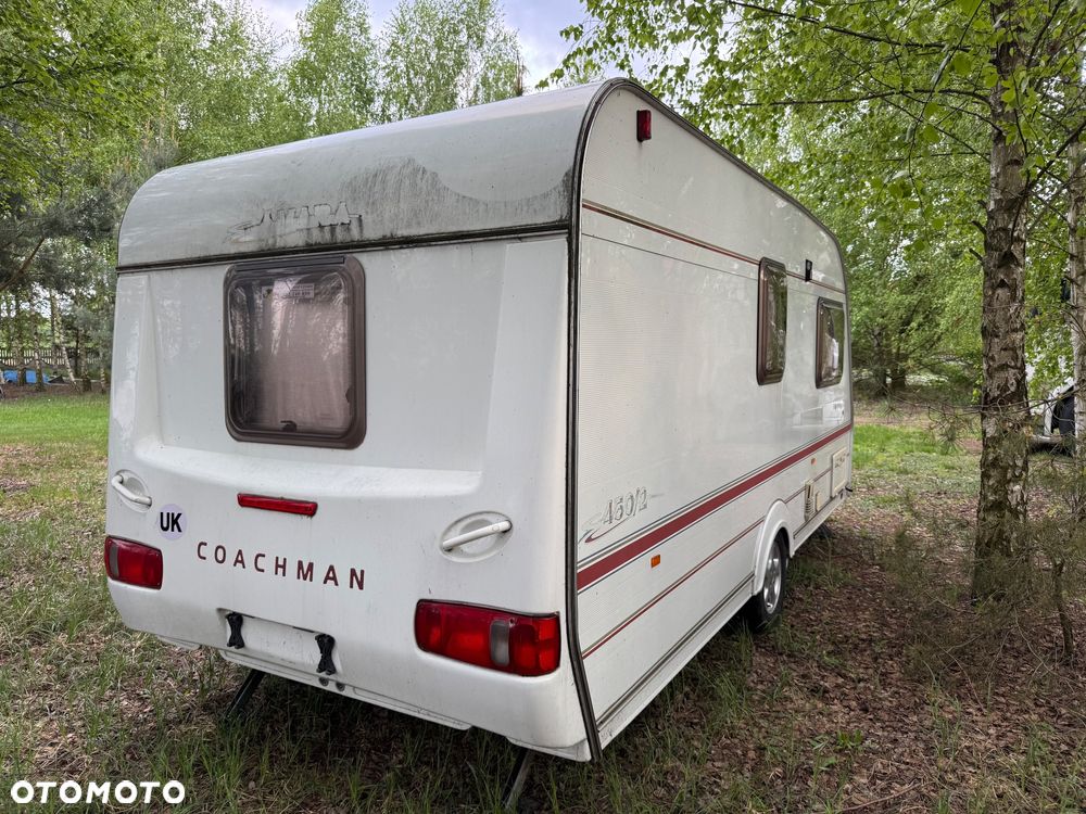 Coachman Amara - 5